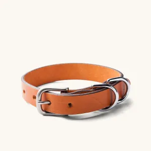 Classic Canine Collar - Saddle Tan