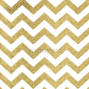Classic Chevron  Backdrop