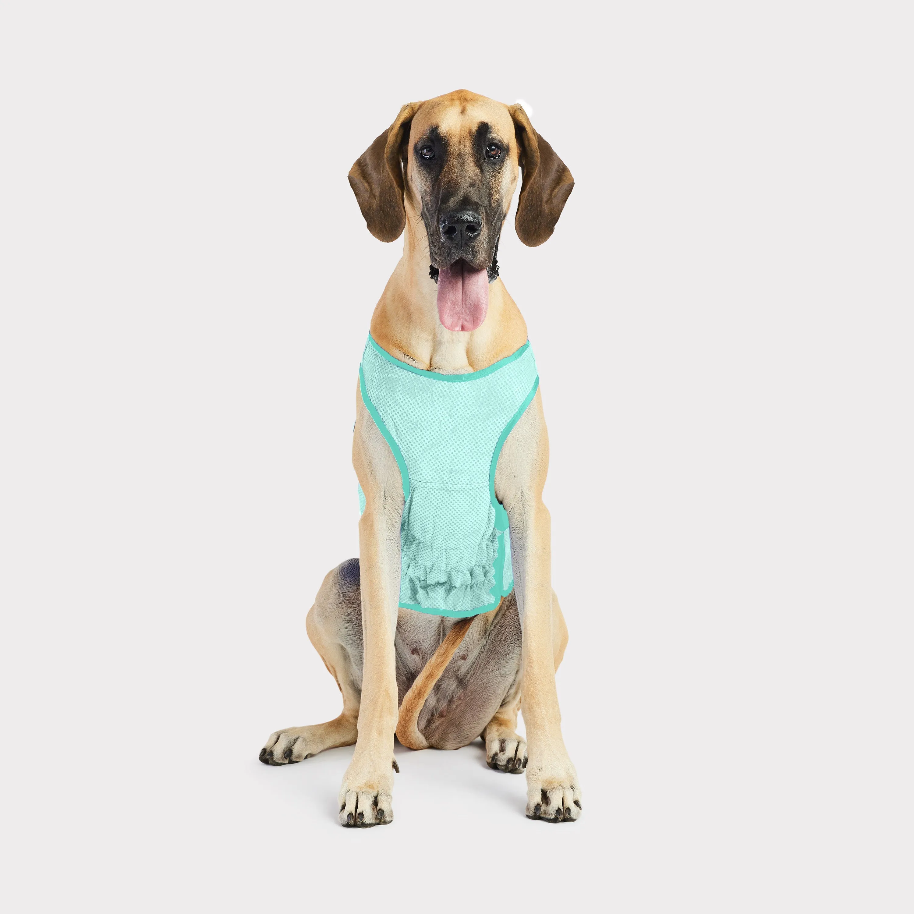 Elasto-Fit® Ice Vest® | Dog Cooling Vest | Aqua