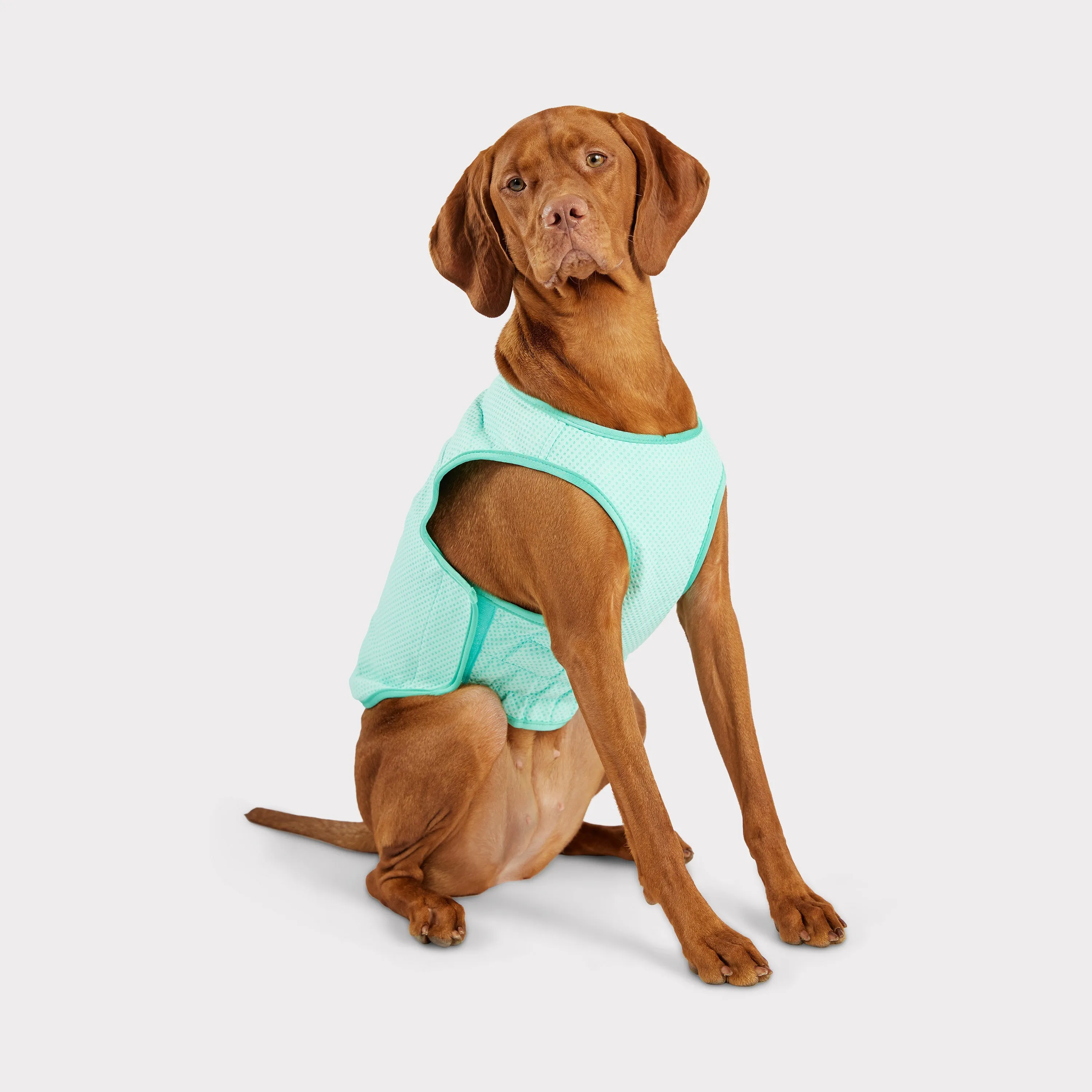 Elasto-Fit® Ice Vest® | Dog Cooling Vest | Aqua