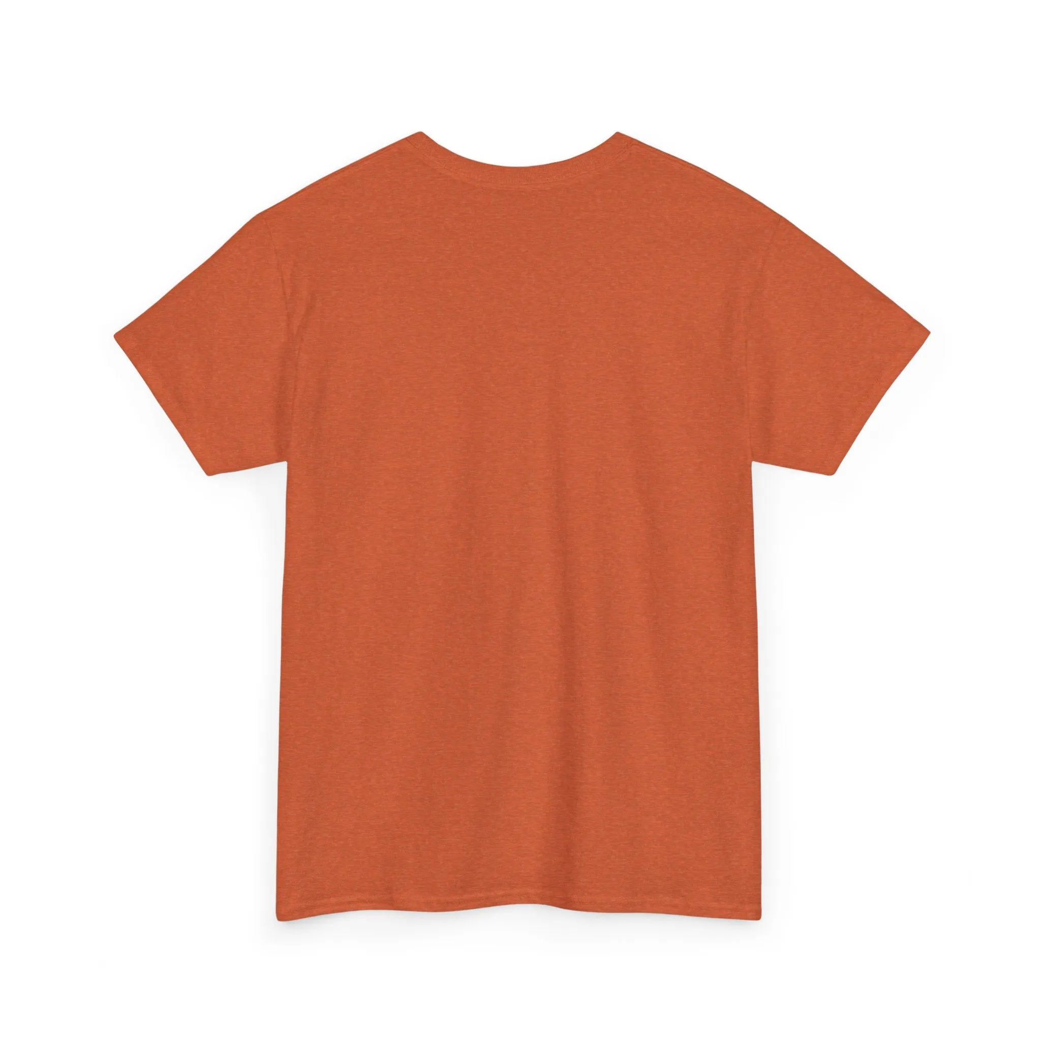 History is Watching Unisex Heavy Cotton Tee