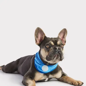 Ice Band® | Dog Cooling Bandana | Blue