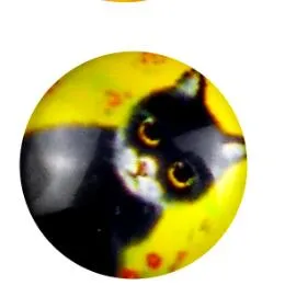 Mix Kawaii Image Transparent Flatback Photo Glass Cabochon for Jewelry Making necklaces earrings phase box key chain
