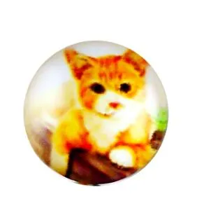 Mix Kawaii Image Transparent Flatback Photo Glass Cabochon for Jewelry Making necklaces earrings phase box key chain