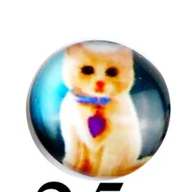 Mix Kawaii Image Transparent Flatback Photo Glass Cabochon for Jewelry Making necklaces earrings phase box key chain