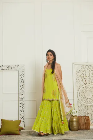 Raji Ramniq Mehezebeen Collection Lime Nude Pink Sequin Kurta Gharara Dupatta Mb-116