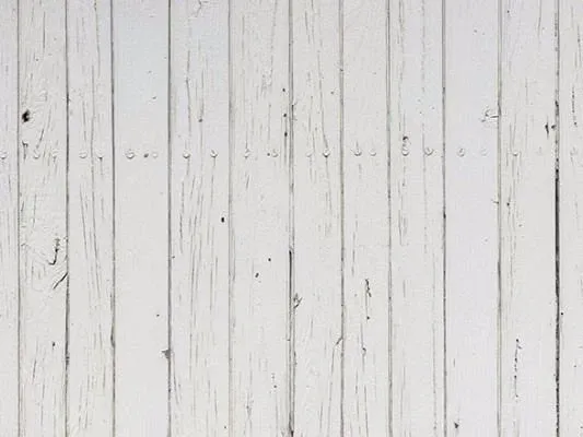 Toile de fond de planche de bois blanc Vintage Photo Booth GC-91