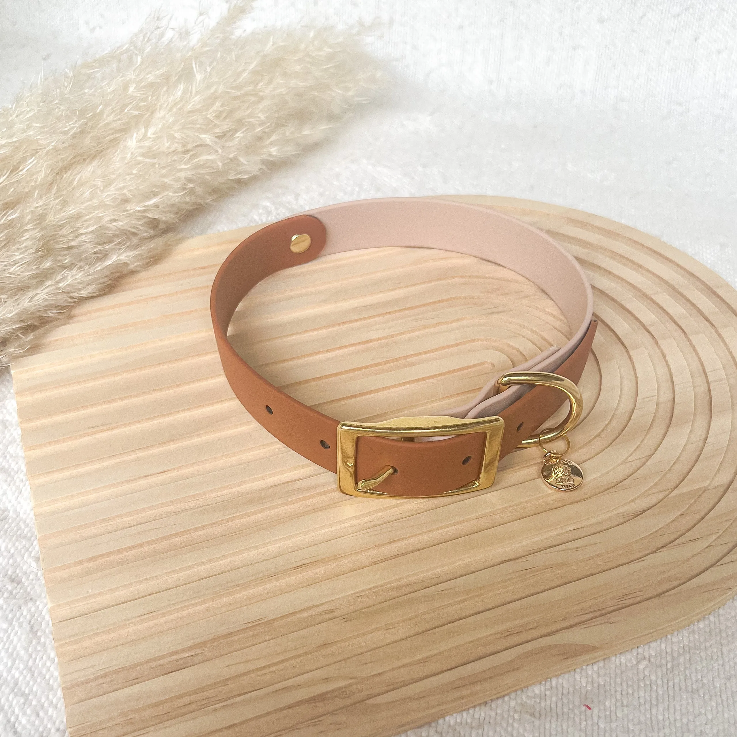 Two-Tone Waterproof Classic Buckle Dog Collar