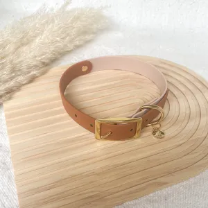 Two-Tone Waterproof Classic Buckle Dog Collar